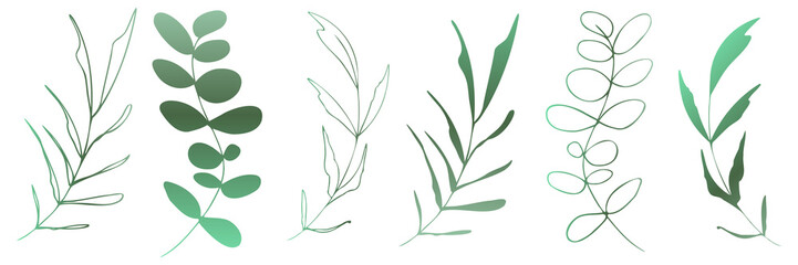 Hand drawn colorful plant set modern and universally usable. Flower branch and minimalistic plants. Hand drawn lines, elegant leaves for your own design. Botanical, chic and trendy plants.