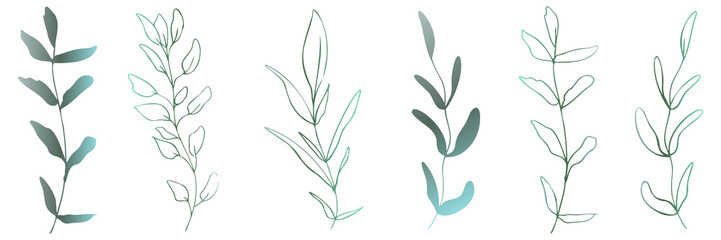 Hand drawn colorful plant set modern and universally usable. Flower branch and minimalistic plants. Hand drawn lines, elegant leaves for your own design. Botanical, chic and trendy plants.