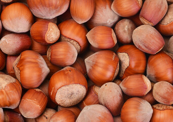 Background hazelnut