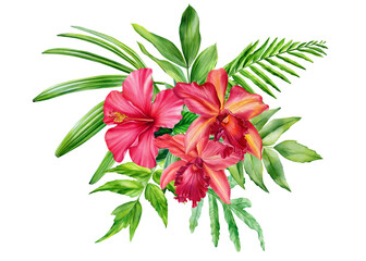 Fototapeta na wymiar Tropical leaves palm and hibiscus, orchid flowers. Watercolor illustration