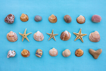 Three rows of seashells, small stones and starfish on blue background