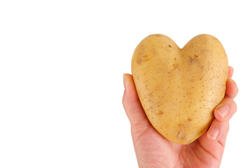 The hand of a female agronomist holds a heart-shaped potato in her hand.Collection and sale of...