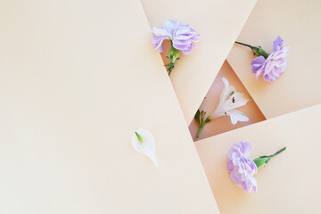 Multi-level beige background with flowers. Multiple levels of paper, refraction of light and shadow