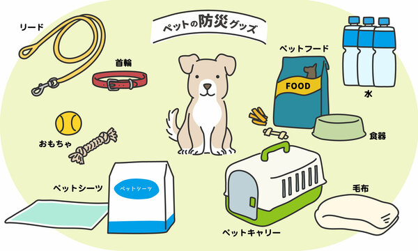 ペットの防災グッズ　イヌ編