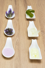 owls with medicinal plants in transformation to medicines, oils, creams, aloe vera and lavender.