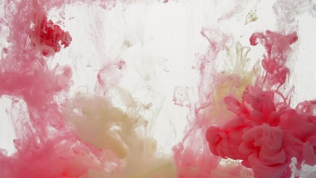 Different colorful paint flows into water and swirl around, slow motion