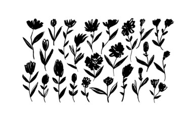 Hand drawing stylized brush flowers on white background. Ink drawing flowers and plants, monochrome artistic botanical illustration. Small wild plants, herbs, leaves. Black brush silhouettes.