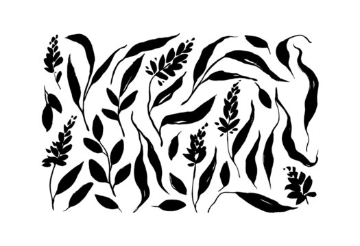Plant branches with wavy long leaves black paint vector illustrations set. Black brush silhouettes leaves, twigs and small flowers. Hand drawn tropical foliage, herbs, tree branches. Ink elements.