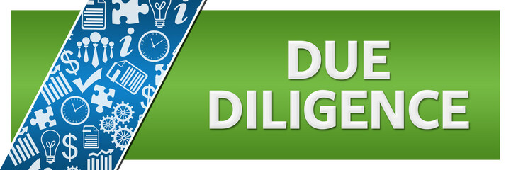 Due Diligence Blue Business Element Green Left Side 