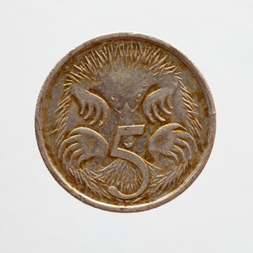 Australia - Circa 2009: Five Cents Coin From Australia Showing An Echidna , Spiny Ant-eater With Spikes