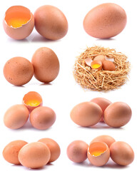 Eggs in isolated white background