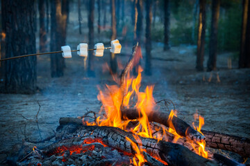 Sweet and hot marshmallows on stick over the bonfire