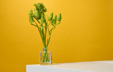 glass transparent vase with green dried flowers on a white table, yellow background