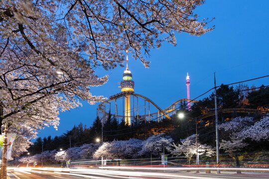 Daegu Tower