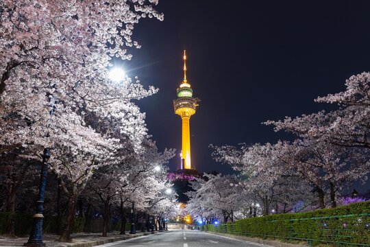 Daegu Tower
