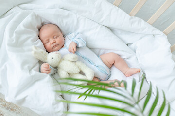 newborn baby boy sleeps seven days in a cot at home on a cotton bed with a toy in his hand, close-up