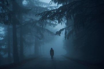 silhouette of a person in a fog forest