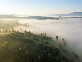 Morning mist in Ukrainian Carpathian mountains. Aerial drone view.
