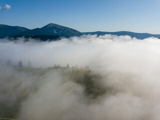 Morning fog in the Ukrainian Carpathians. Aerial drone view.