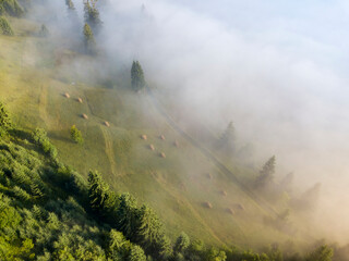 Fog envelops the mountain forest. The rays of the rising sun break through the fog. Aerial drone view.