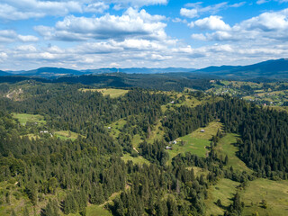 Green mountains of Ukrainian Carpathians in summer. Coniferous trees on the slopes. Aerial drone view.