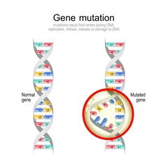 Fotobehang Genetic mutation Normal DNA and helix with Mutated gene. © designua