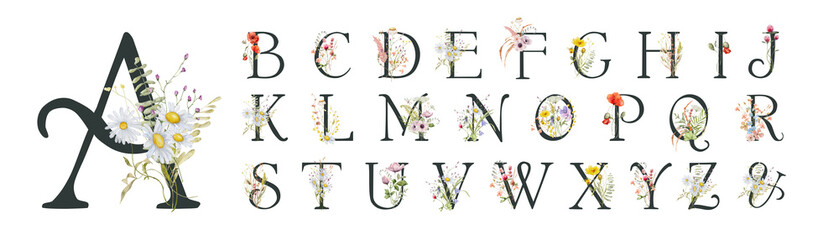 Watercolor floral english alphabet set with wild flowers from A to Z - obrazy, fototapety, plakaty