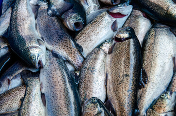 Trout. Trout background. Healthy eating trout fish. Photo on fish production.