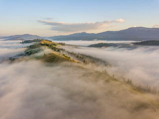 Sunny morning in the foggy Carpathians. A thick layer of fog covers the mountains. Aerial drone view.