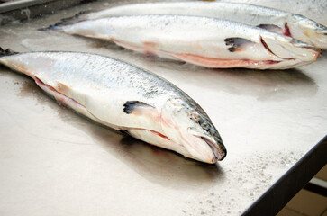 Red salmon fish. Salmon carcass on the table. Healthy eating red salmon fish. Photo on fish production.