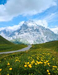 Fototapeta na wymiar alpine meadow and sky