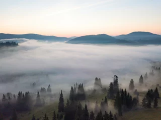 Küchenrückwand glas motiv Wald im Nebel Morgennebel in den ukrainischen Karpaten. Drohnenansicht aus der Luft.