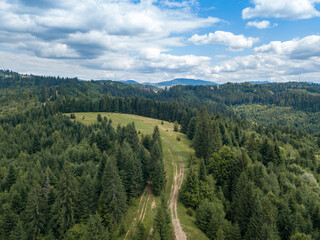 Green mountains of Ukrainian Carpathians in summer. Coniferous trees on the slopes. Aerial drone view.