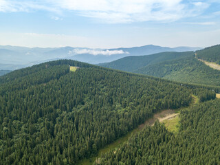 Fototapeta premium Green mountains of Ukrainian Carpathians in summer. Sunny day, rare clouds. Aerial drone view.