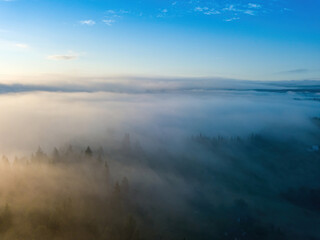 Fototapeta premium Sunny morning in the foggy Carpathians. A thin layer of fog covers the mountains. Aerial drone view.