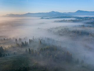 Fototapeta premium Morning fog in the Ukrainian Carpathians. Aerial drone view.
