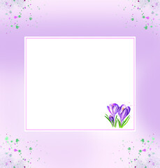 White frame on watercolour background with spring, lilac crocus, blue flowers