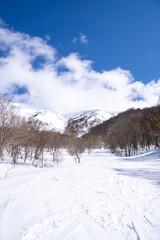 Fototapeta na wymiar 冬山の景色（新潟県・平標山）