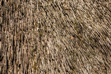 texture