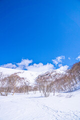 雪景色　平標山への登山道