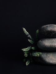Fototapeta na wymiar Luxurious empty product podium with stacked zen stones and forest green leaves on dark background. Concept scene stage for promotion, sale, presentation or cosmetic. Black minimal mock up template.