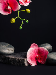 Luxurious empty product zen stone podium and orchid flower on dark black background. Concept scene...