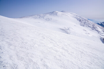 Fototapeta na wymiar 雪に覆われた山肌