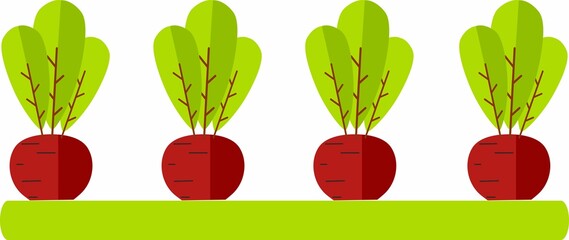 Vector Illustration Beetroot Isolated on White Background. Cute Cartoon Beetroot Vegetable in Flat Style.

