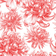 Vector seamless floral pattern with Chrysanthemum flowers.