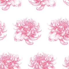 Vector seamless floral pattern with Chrysanthemum flowers.