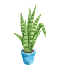 Watercolor house plant in blue pot. Hand-drawn illustration isolated on the white background
