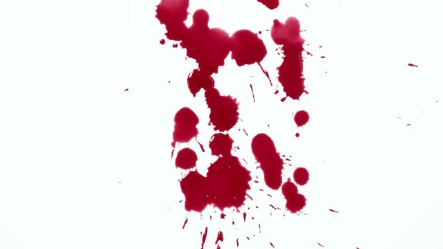 Blood drops on white background. 4K footage