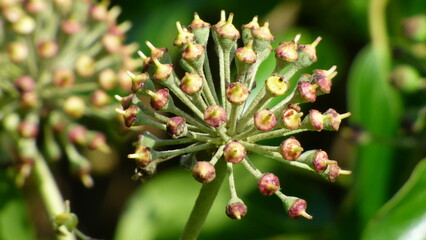 LD Isle-Grande P1050273