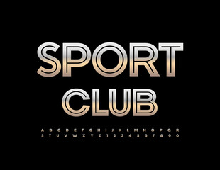 Vector metallic logo Sport Club. Unique Silver Font. Artistic Alphabet Letters and Numbers set